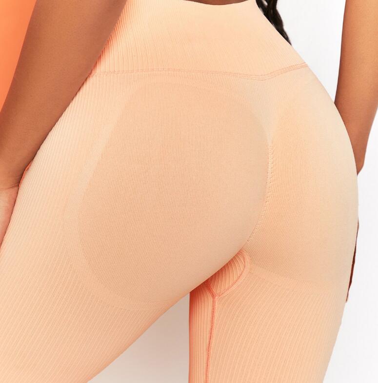 Seamless Leggings